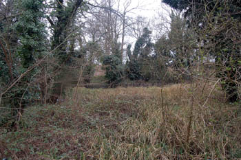 site of Stanford Mill pond March 2008